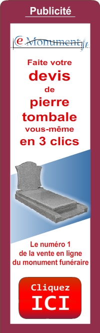 publicit&eacute; e-monument.fr